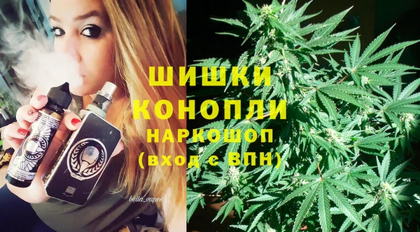 мдпв Бронницы
